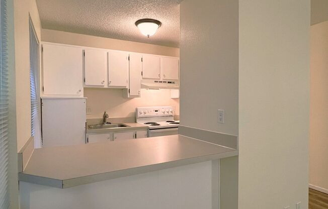 1 bed, 1 bath, 540 sqft, $1,325, Unit 7