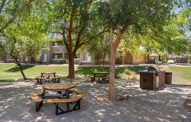 Picnic tables and benches are surrounded by trees in a sunny park.
