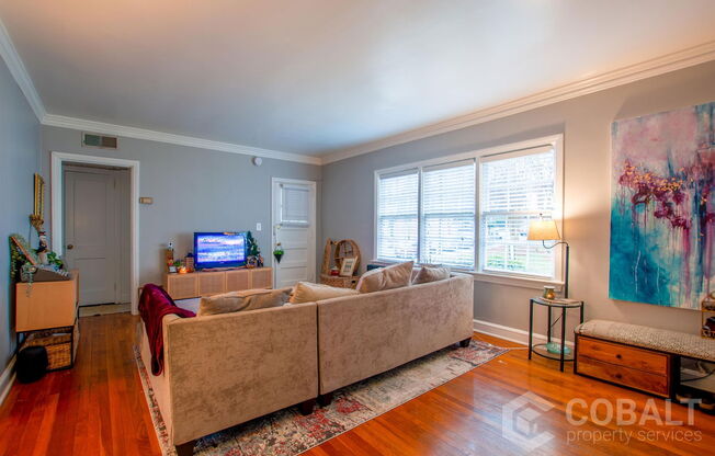 50 Terrace Drive