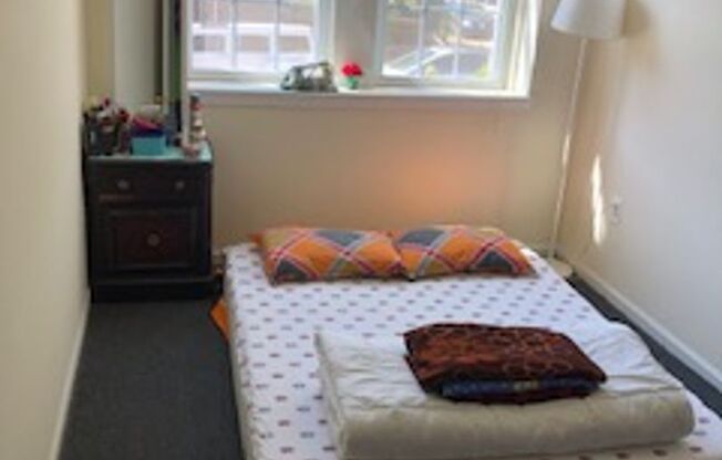 1 bed, 1 bath, 352 sqft, $1,090, Unit 302