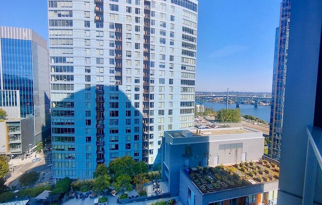 1 bed, 1 bath, $2,495, Unit UNIT 1300