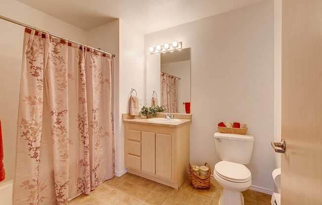 Decorated Bathroom at FOREST CREEK APARTMENTS, Spokane, WA 99208