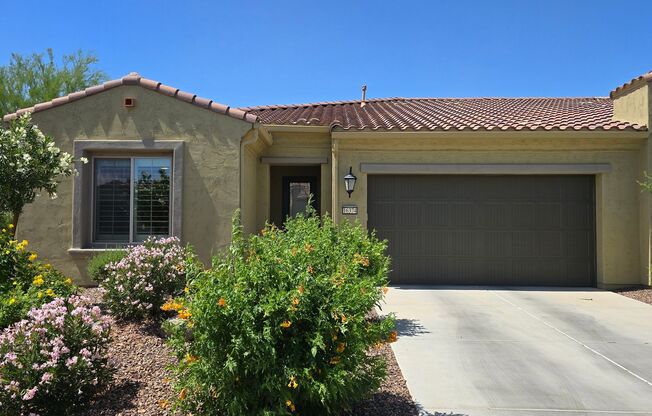 55+ Amenity rich Pebble Creek community!