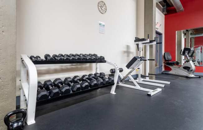 a gym with weights and a rack of dumbbells