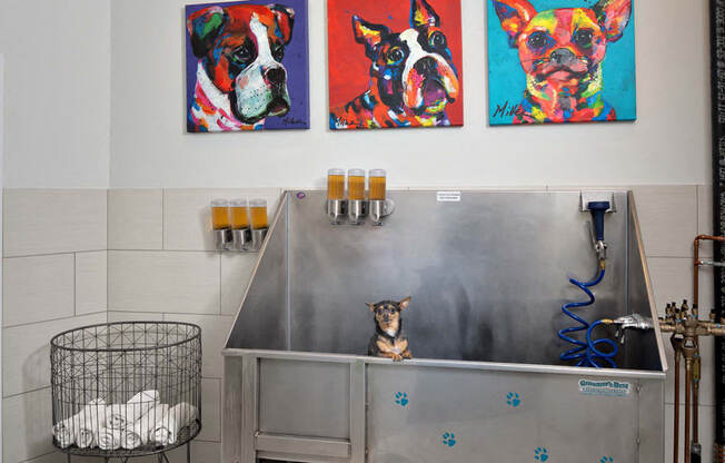 On Site Pet Washing Stations
