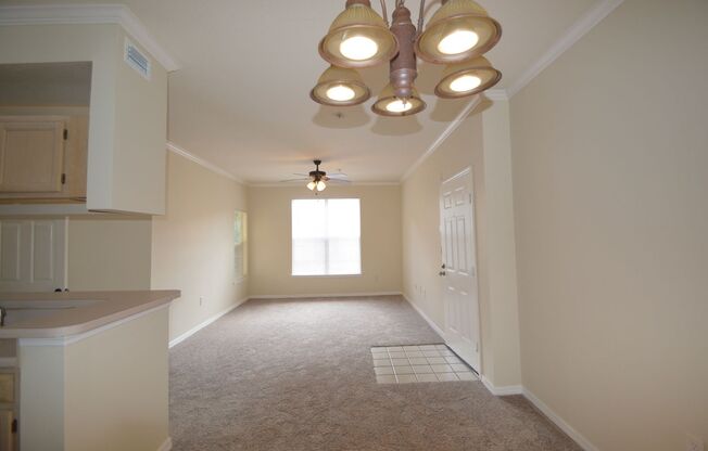 1 bed/1 bath with Den in CARROLLWOOD AREA: 3rd floor unit at The Pinnacle AVAILABLE NOW!