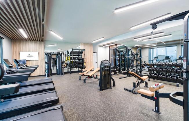 A spacious fitness center featuring strength and cardio equipment, mirrored walls, and natural light for a bright, energizing atmosphere.