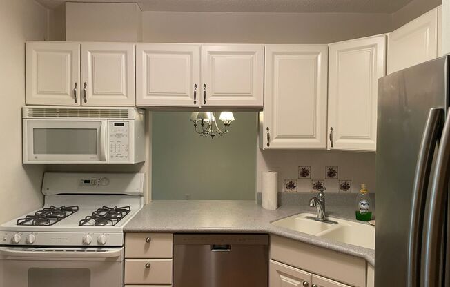 Updated Condo with Modern Comfort & Resort-Style Amenities in Prime Edina Location for $1,649/month!