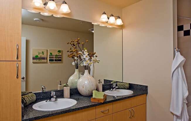 Apartments for rent Bellevue WA - Metro 112 Apartments - dual vanities