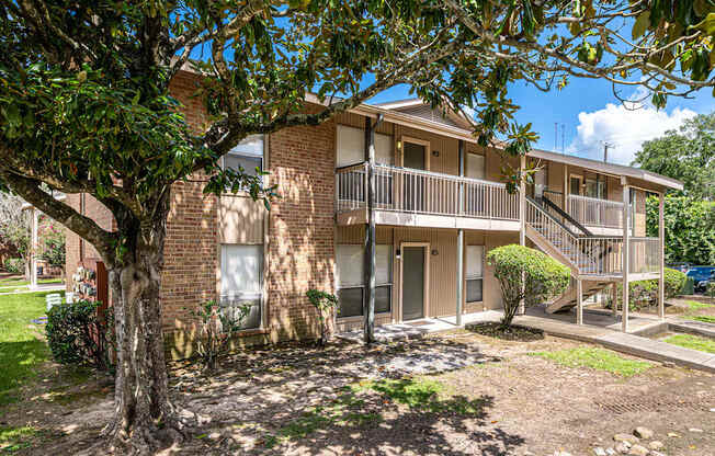 A tree is in front of a brick building.