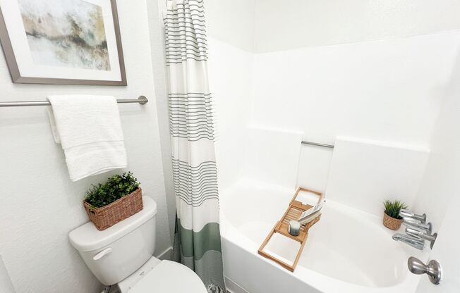 1 bed, 1 bath, 620 sqft, $1,995, Unit 0214