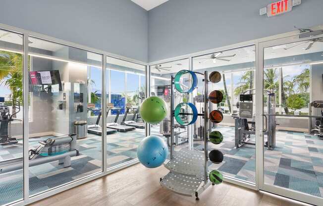 Fitness Center training and medicine balls, Blue Lagoon 7 in Miami, FL