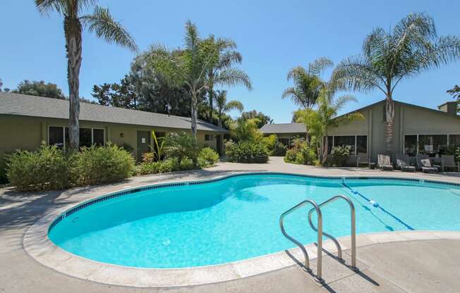 a swimming pool with palm trees in front of a house