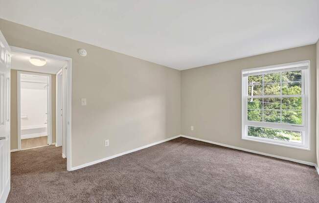 A room with a carpeted floor and a window showing trees outside.