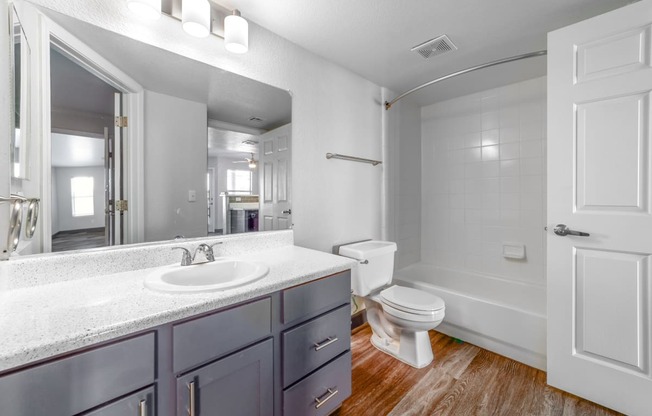 a bathroom with a sink and a toilet and a mirror