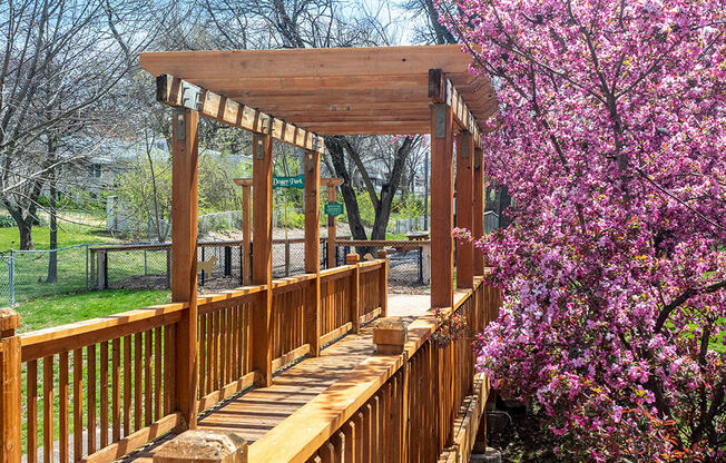 a wooden bridge with a flowering tree