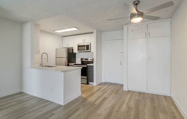 Bay in San Diego, CA