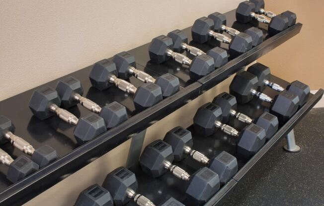 Fitness Center Weights