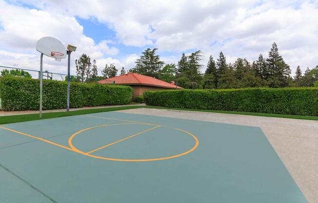 BASKETBALL COURT