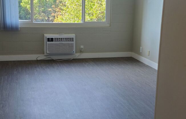 Studio, 1 bath, 400 sqft, $1,750, Unit 303