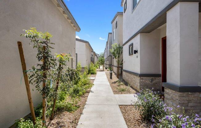 Community pathway with greenery