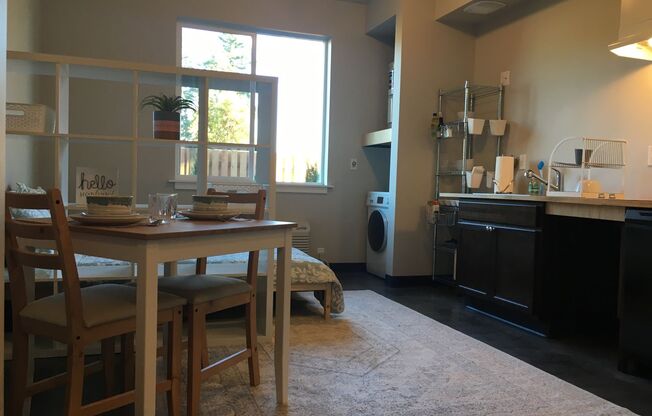 Studio, 1 bath, $1,250, Unit 203