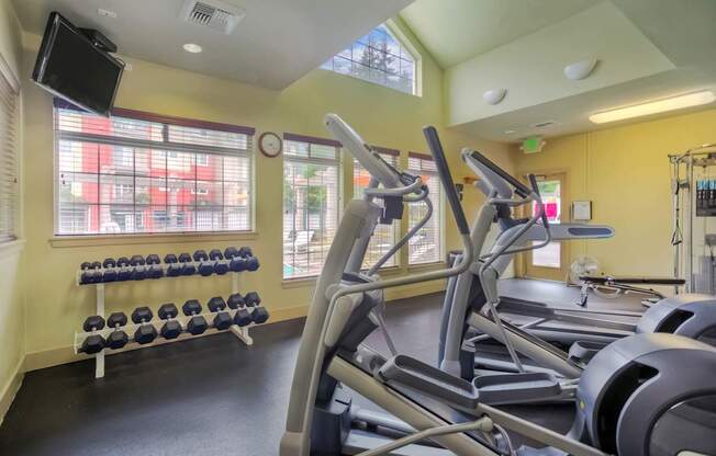 A gym with treadmills, dumbbells, and a flat screen TV.