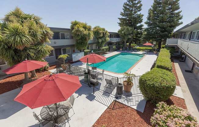 Apartments for Rent Hayward CA - Sparkling Pool Featuring Various Shaded Lounging Areas