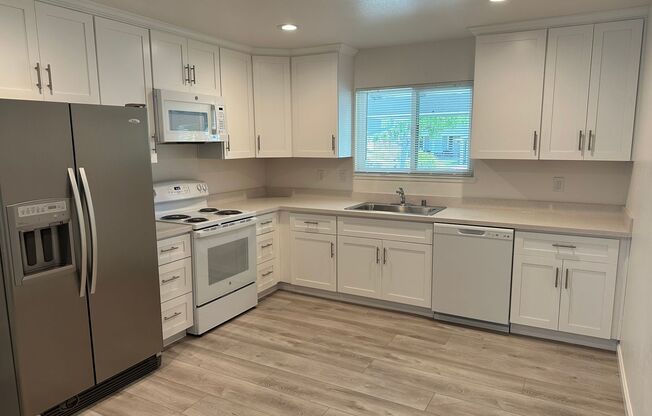 Beautifully Renovated 4 Bedroom 2 Bath Home Near Santa Teresa Foothills!