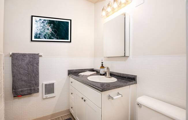 a bathroom with a sink and a mirror and a toilet