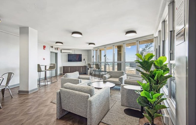 a living room with couches and chairs and a large plant