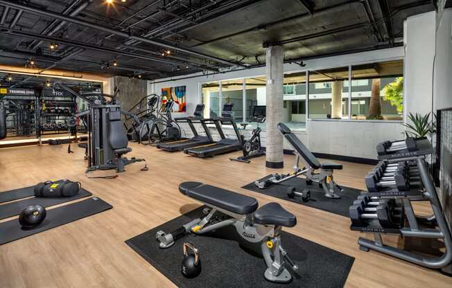 Fitness Center at Oaks at Greenview, Houston, TX