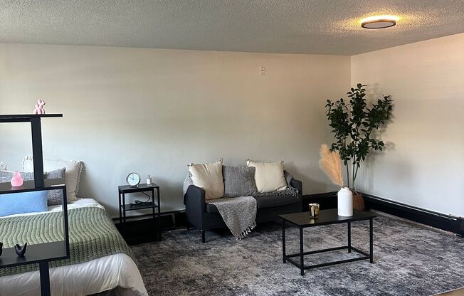 Studio, 1 bath, 450 sqft, $845, Unit 262-2