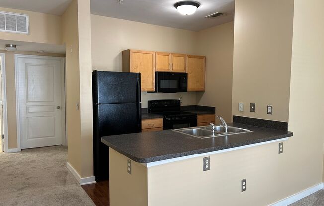 2020 5th Ave S Unit 438 (Bristol Southside)