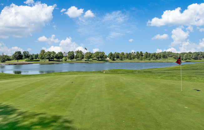 70-web-or-mls-IMG_6823