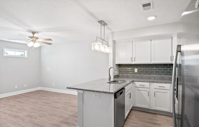 3 Bedroom Pet Friendly Luxury Townhomes For Rent!