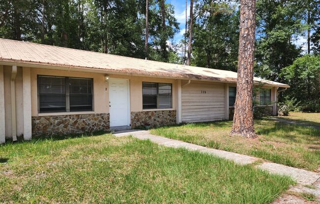 Pine Forest Homes