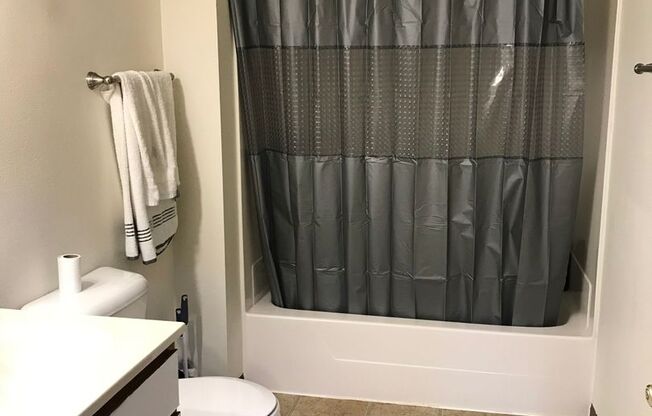 1 bed, 1 bath, $500