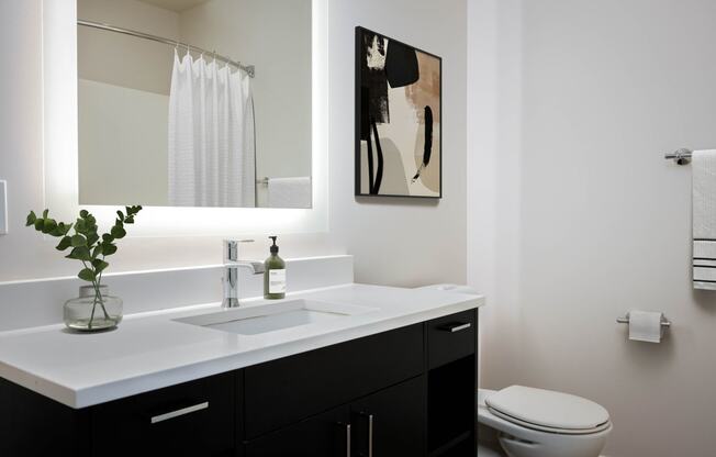 a bathroom with a sink and a mirror and a toilet