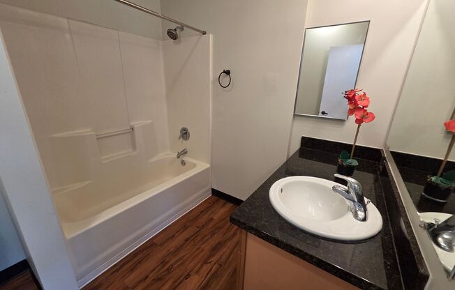 1 bed, 1 bath, 486 sqft, $1,675, Unit 1005