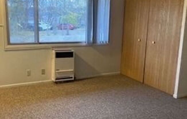 Studio, 1 bath, 450 sqft, $750, Unit 232