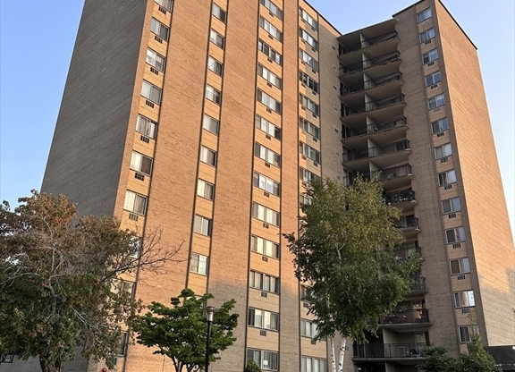 Studio, 1 bath, 445 sqft, $1,650, Unit 1F