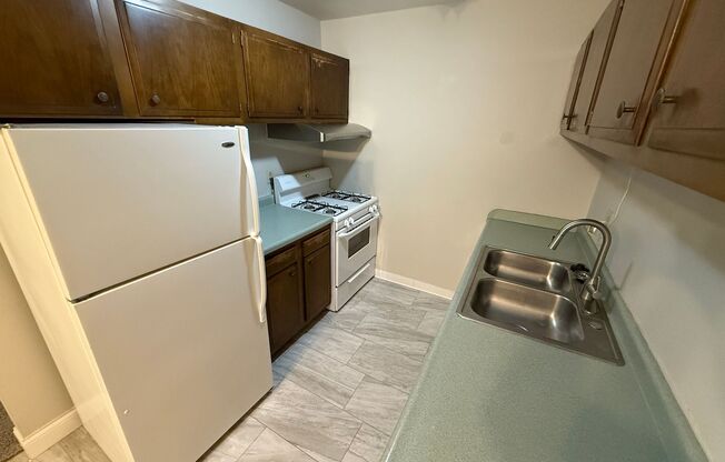 Williamsburg Flats 202