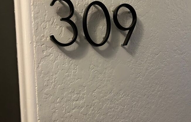 Studio, 1 bath, 380 sqft, $1,650, Unit 309