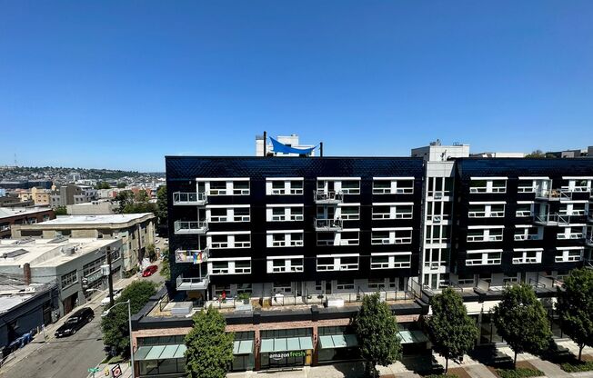 1 bed, 1 bath, 552 sqft, $2,205, Unit Unit 709