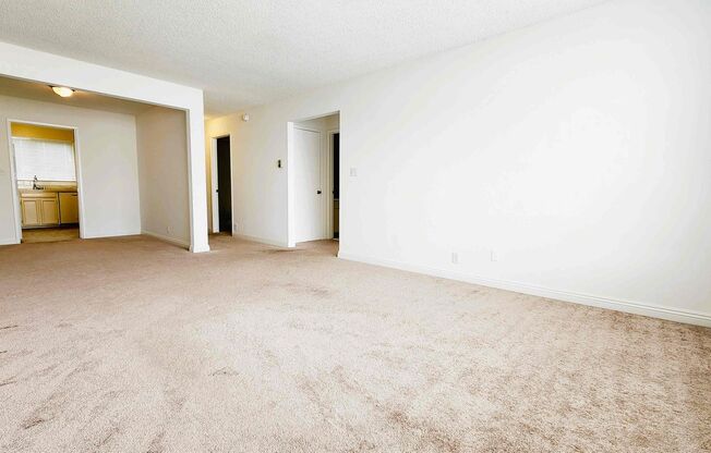 1249 21st Ave.