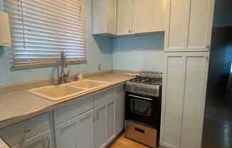 1 bed, 1 bath, $1,450