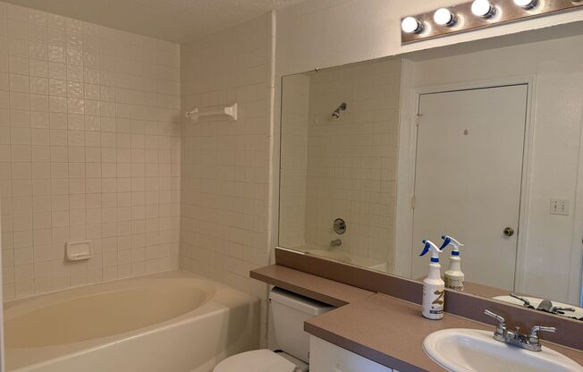 1 bed 1 bath condo in Metrowest
