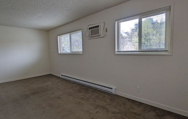 Studio, 1 bath, 350 sqft, $995, Unit 307