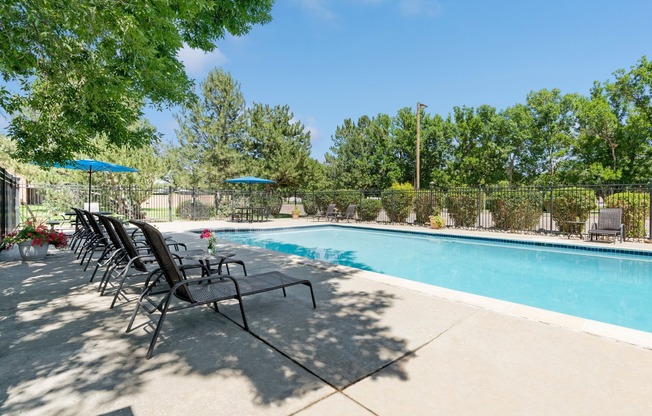 Pool with loungers